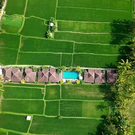 Pajar House Ubud Suite & Villas Dış mekan fotoğraf