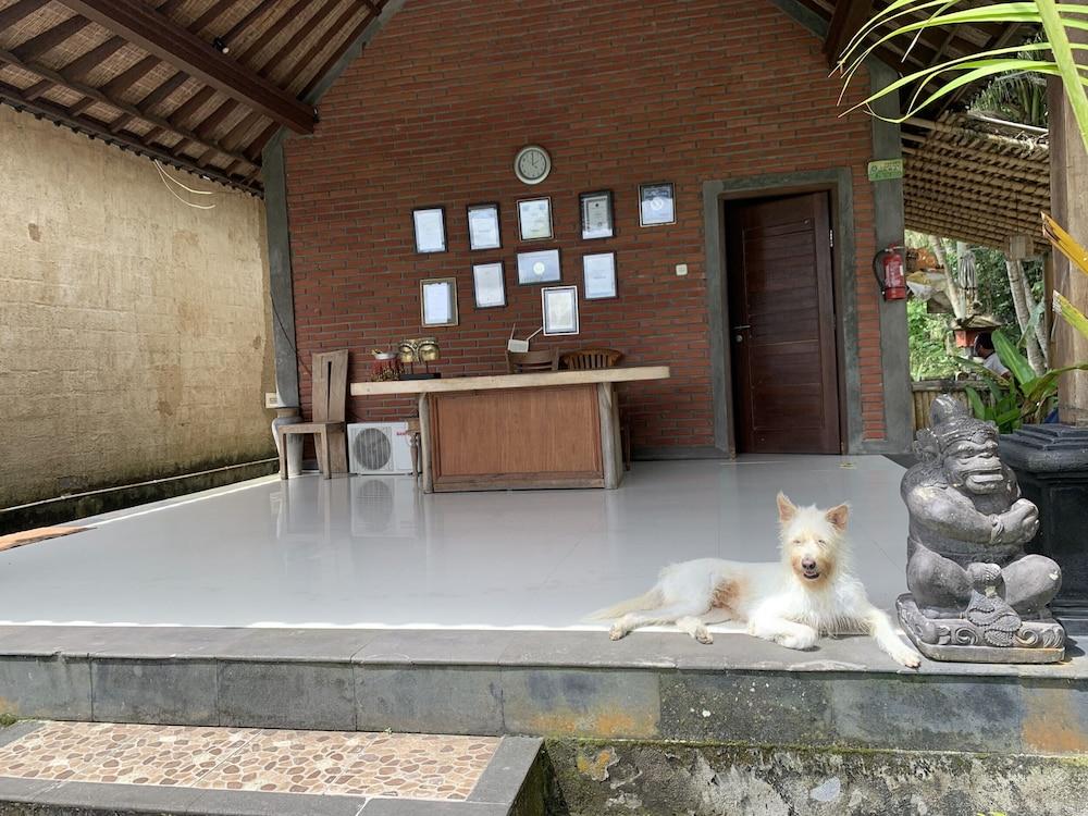 Pajar House Ubud Suite & Villas Dış mekan fotoğraf