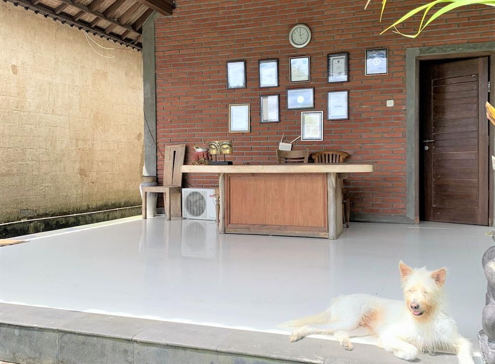 Pajar House Ubud Suite & Villas Dış mekan fotoğraf