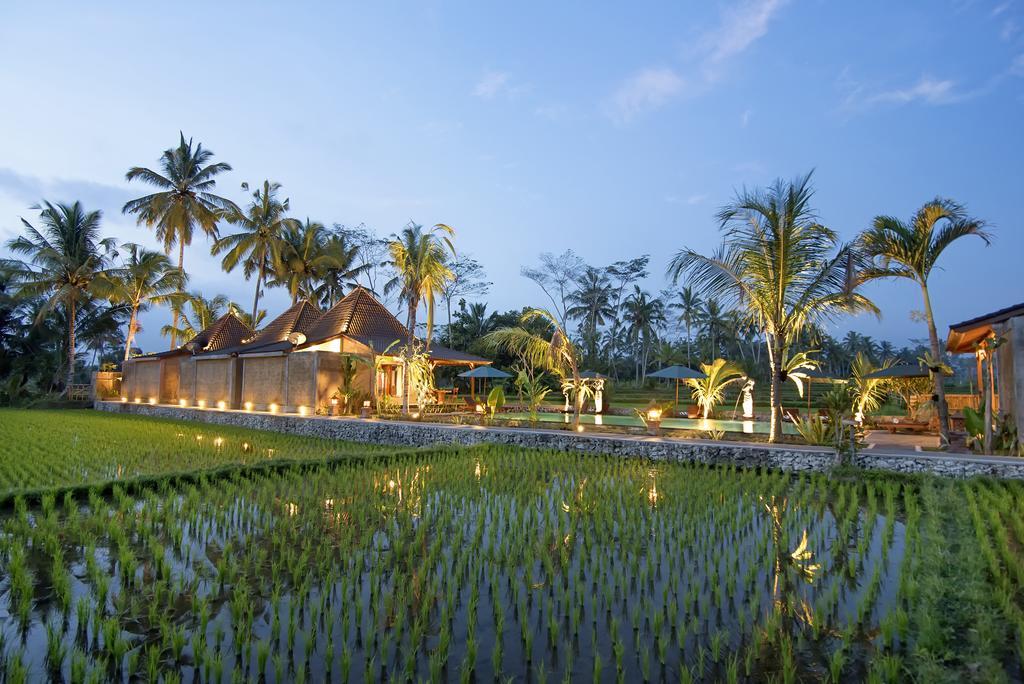 Pajar House Ubud Suite & Villas Oda fotoğraf