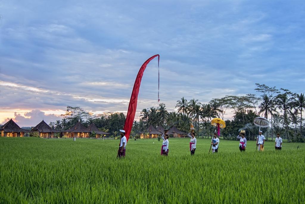 Pajar House Ubud Suite & Villas Dış mekan fotoğraf