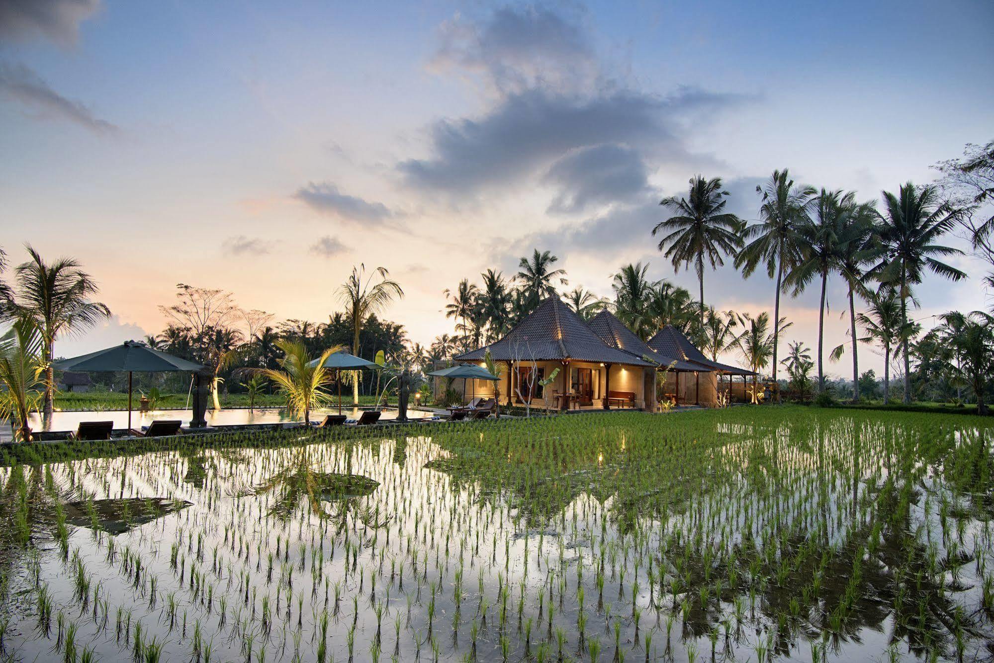 Pajar House Ubud Suite & Villas Dış mekan fotoğraf