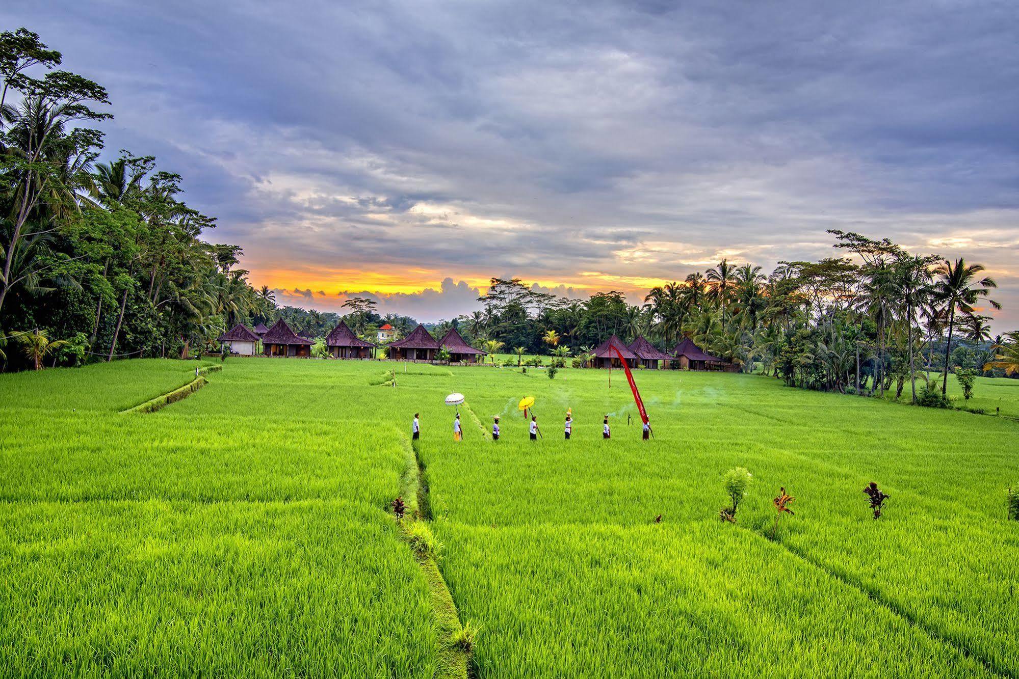 Pajar House Ubud Suite & Villas Dış mekan fotoğraf