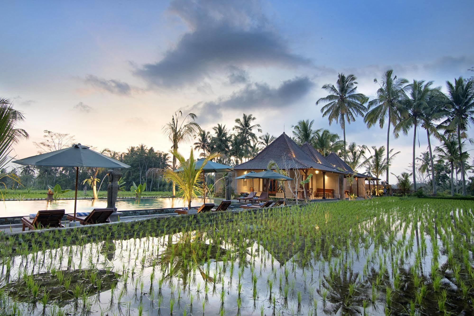 Pajar House Ubud Suite & Villas Dış mekan fotoğraf