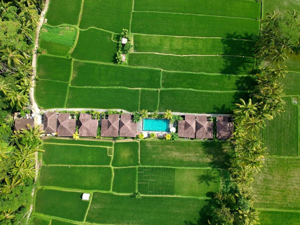Pajar House Ubud Suite & Villas Dış mekan fotoğraf